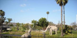 Woman Begrudgingly Takes Her Parents to the La Brea Tar Pits