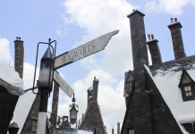 Local Woman Can’t Wait to Stand in Lines at new Harry Potter World