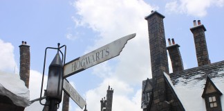 Local Woman Can’t Wait to Stand in Lines at new Harry Potter World