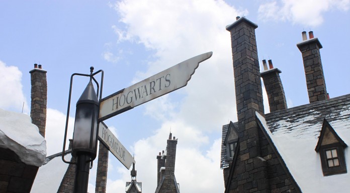 Local Woman Can’t Wait to Stand in Lines at new Harry Potter World